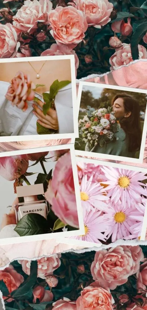 Aesthetic roses collage