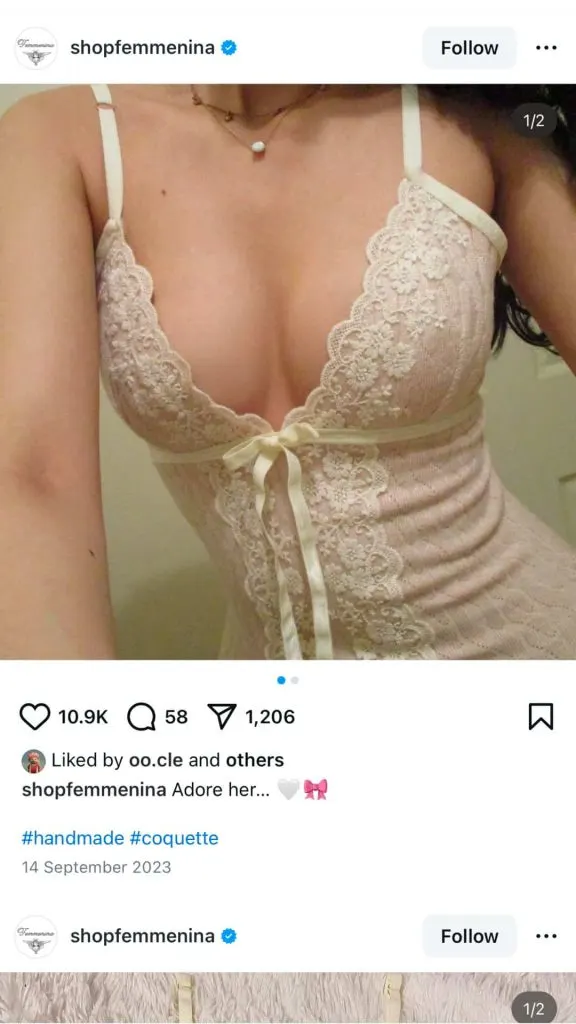 pink coquette lace top Instagram clothing brand